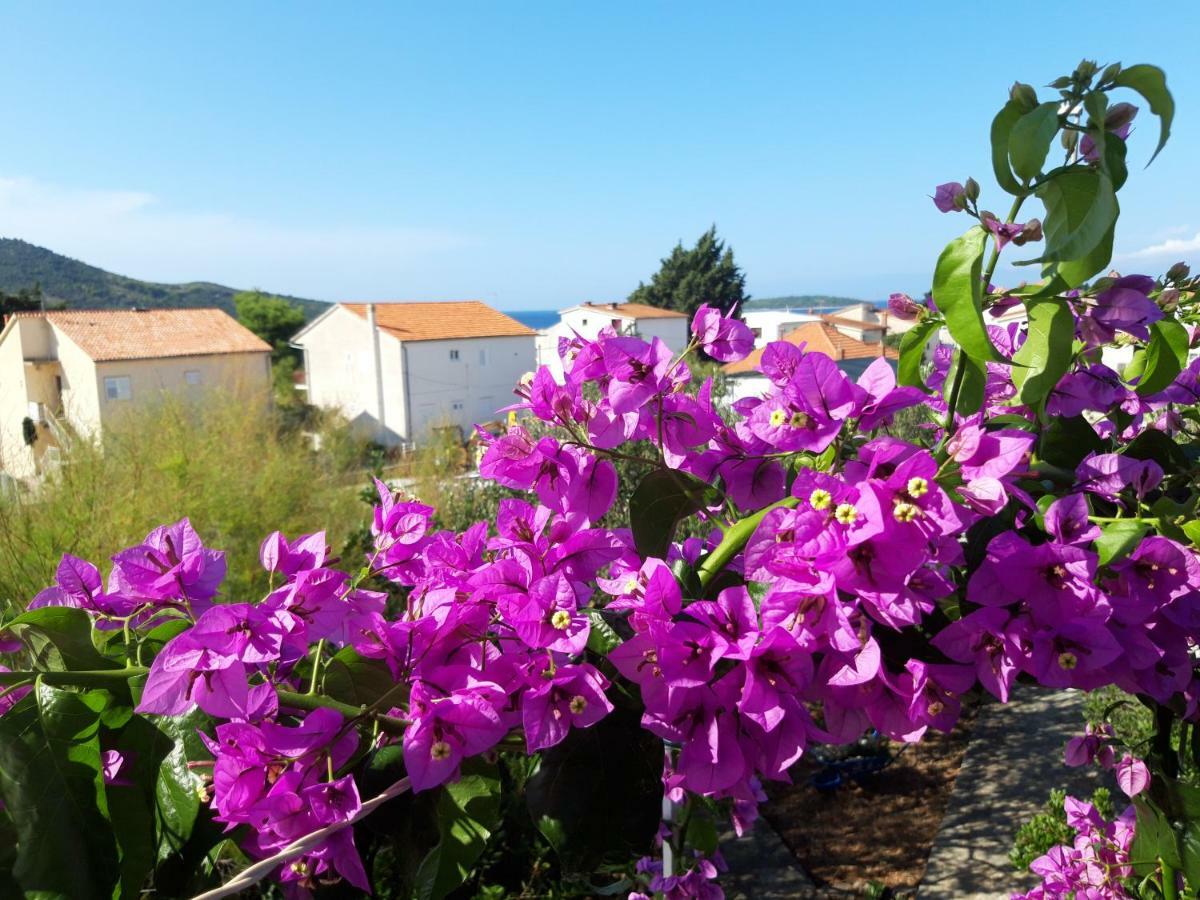 Apartman Dida Jakov Primošten Eksteriør billede